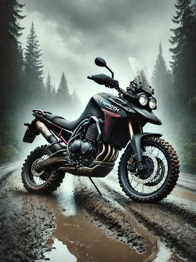 Explore the Top Features of the All-New Triumph Tiger 660 Adventure Bike!